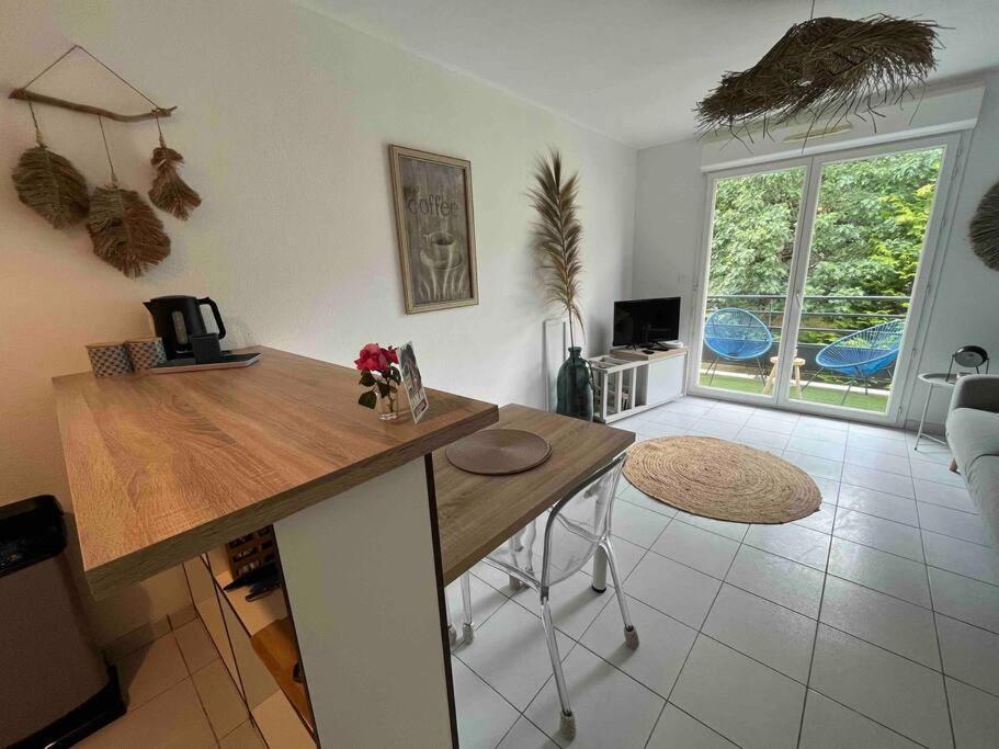 Appartement Cosy, Calme, Lumineux, Balcon, Parking サルラ・ラ・カネダ エクステリア 写真